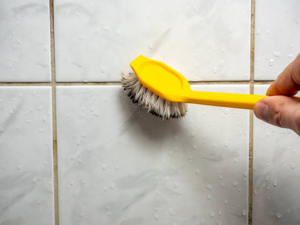  Stryker, OH Mold Removal Pros